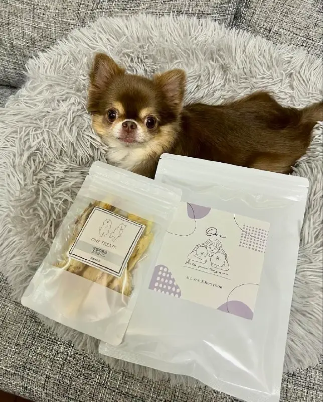 Photo of our dog foods and a young Australian shepherd